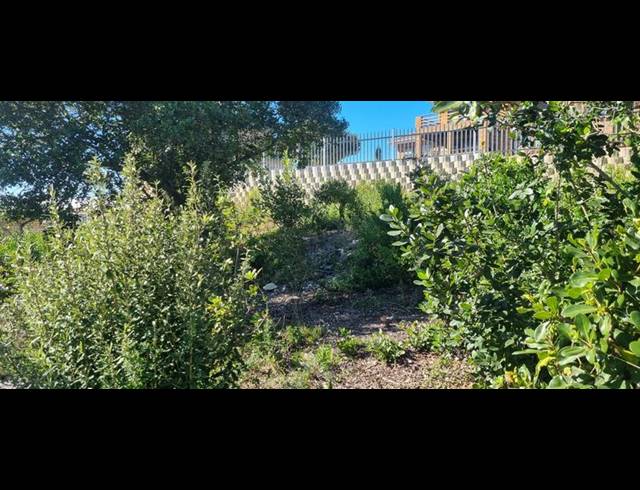 LAND FOR SALE IN GROOT BRAKRIVIER CENTRAL